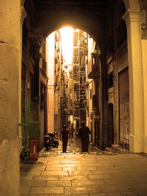 visitas a Barrio Gótico de barcelona